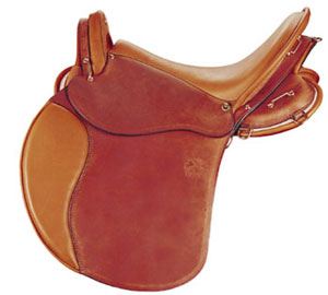 Evolution2000_harness.jpg